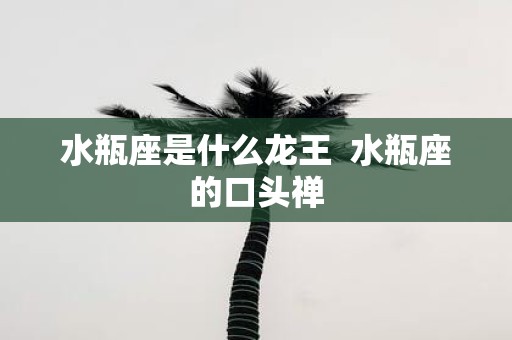水瓶座是什么龙王 水瓶座的口头禅
