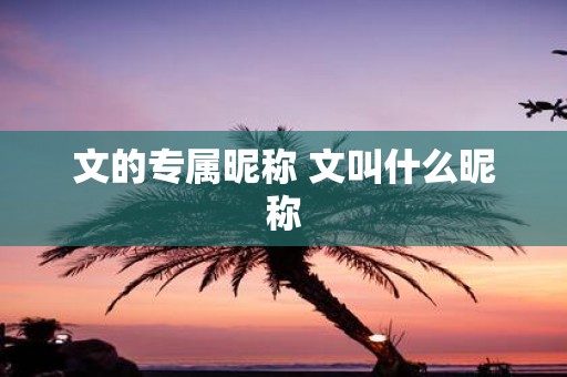 文的专属昵称 文叫什么昵称