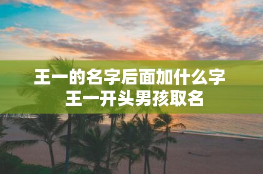王一的名字后面加什么字 王一开头男孩取名