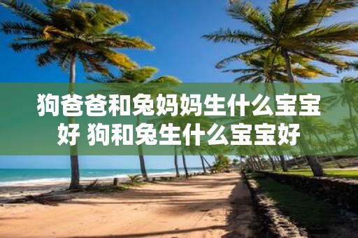 狗爸爸和兔妈妈生什么宝宝好 狗和兔生什么宝宝好
