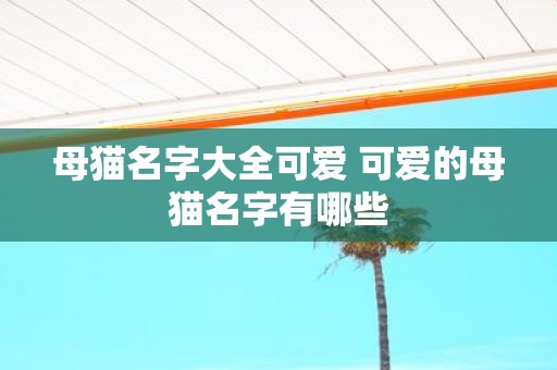 母猫名字大全可爱 可爱的母猫名字有哪些