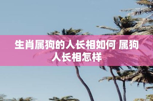 生肖属狗的人长相如何 属狗人长相怎样