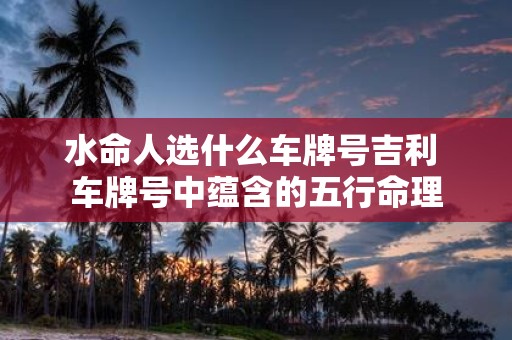 水命人选什么车牌号吉利 车牌号中蕴含的五行命理
