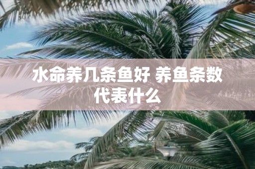 水命养几条鱼好 养鱼条数代表什么