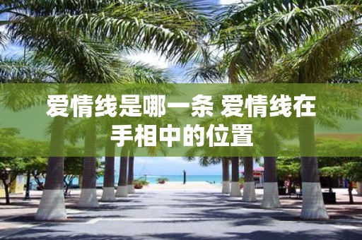 爱情线是哪一条 爱情线在手相中的位置