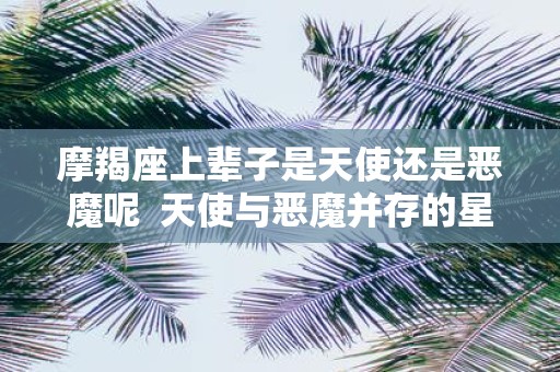 摩羯座上辈子是天使还是恶魔呢 天使与恶魔并存的星座