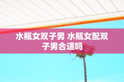 水瓶女双子男 水瓶女配双子男合适吗