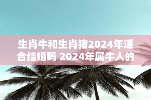 生肖牛和生肖猪2025年适合结婚吗 2025年属牛人的结婚吉日