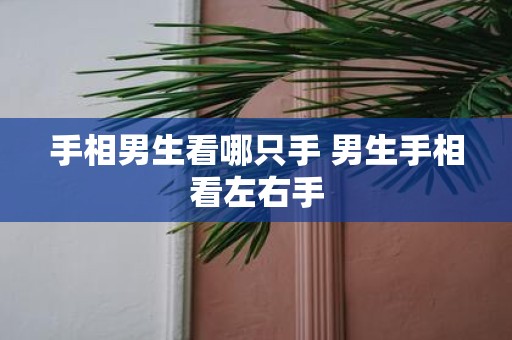 手相男生看哪只手 男生手相看左右手