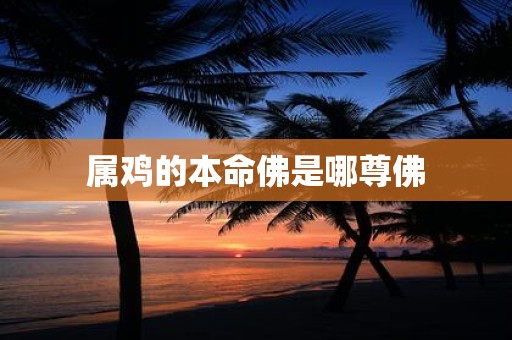 属鸡的本命佛是哪尊佛