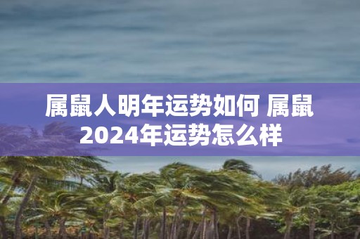 属鼠人明年运势如何 属鼠2025年运势怎么样
