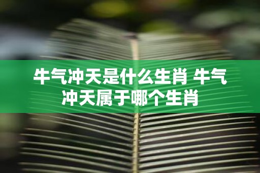 牛气冲天是什么生肖 牛气冲天属于哪个生肖