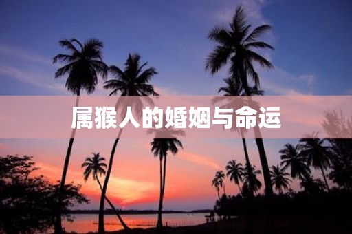 属猴人的婚姻与命运