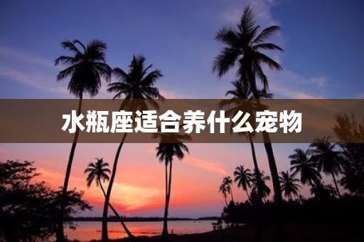 水瓶座适合养什么宠物