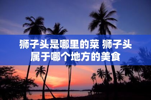 狮子头是哪里的菜 狮子头属于哪个地方的美食