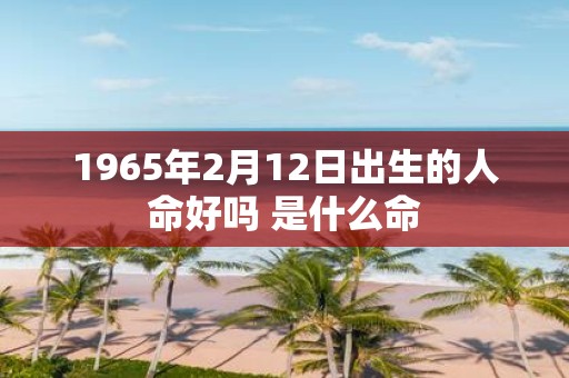 1965年2月12日出生的人命好吗 是什么命