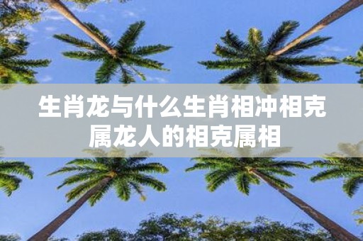 生肖龙与什么生肖相冲相克 属龙人的相克属相