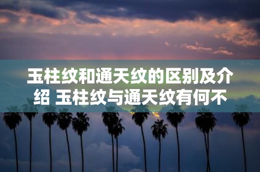 玉柱纹和通天纹的区别及介绍 玉柱纹与通天纹有何不同