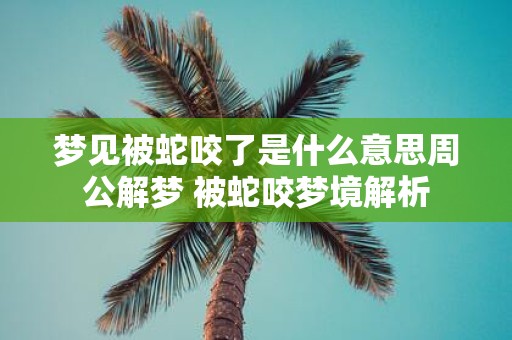 梦见被蛇咬了是什么意思周公解梦 被蛇咬梦境解析