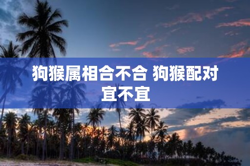狗猴属相合不合 狗猴配对宜不宜