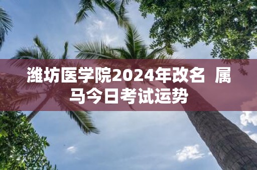 潍坊医学院2025年改名 属马今日考试运势