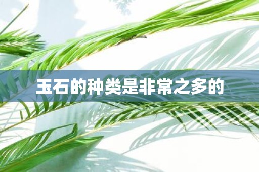 玉石的种类是非常之多的