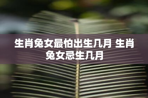生肖兔女最怕出生几月 生肖兔女忌生几月