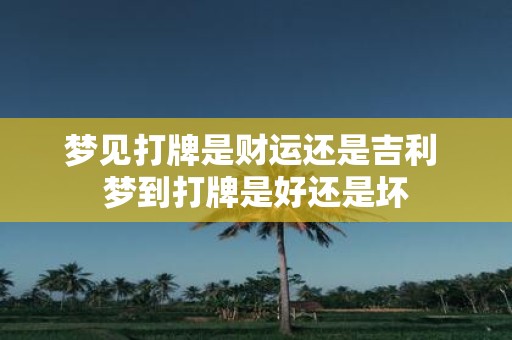 梦见打牌是财运还是吉利 梦到打牌是好还是坏