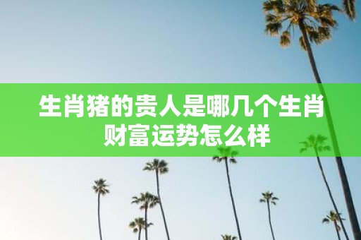生肖猪的贵人是哪几个生肖 财富运势怎么样
