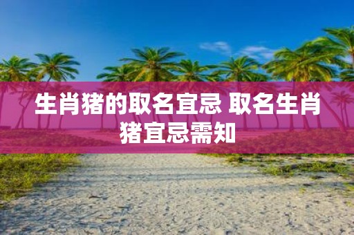 生肖猪的取名宜忌 取名生肖猪宜忌需知
