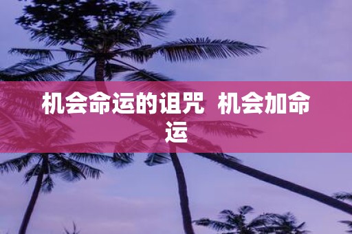 机会命运的诅咒 机会加命运