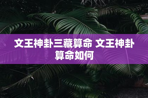 文王神卦三藏算命 文王神卦算命如何