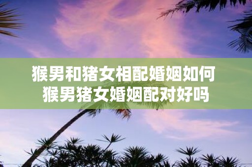 猴男和猪女相配婚姻如何 猴男猪女婚姻配对好吗