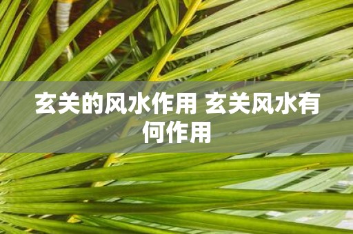 玄关的风水作用 玄关风水有何作用