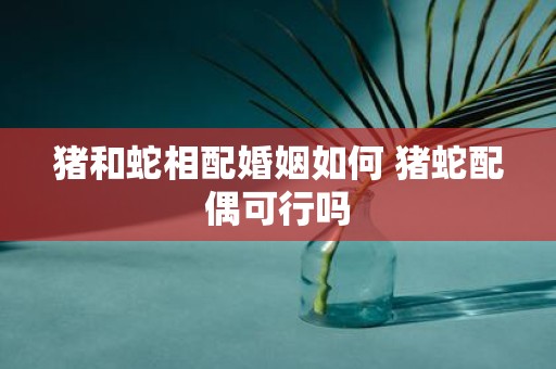 猪和蛇相配婚姻如何 猪蛇配偶可行吗
