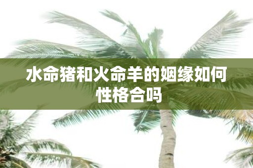 水命猪和火命羊的姻缘如何 性格合吗
