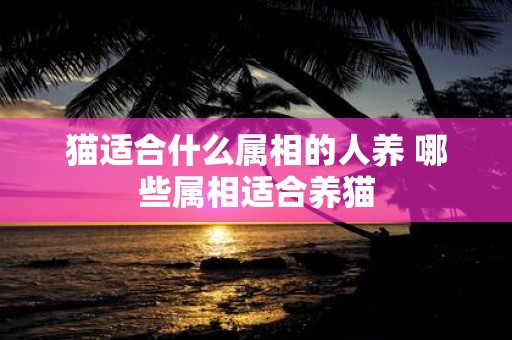 猫适合什么属相的人养 哪些属相适合养猫