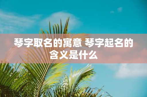 琴字取名的寓意 琴字起名的含义是什么