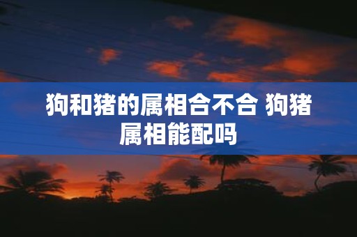 狗和猪的属相合不合 狗猪属相能配吗