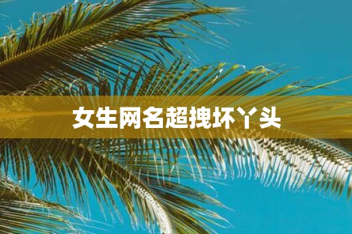 女生网名超拽坏丫头