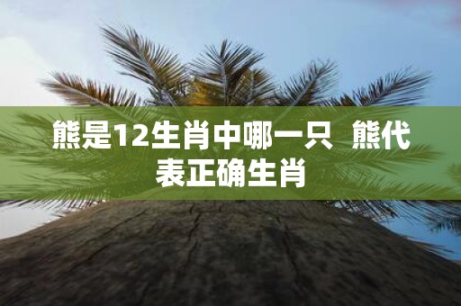 熊是12生肖中哪一只 熊代表正确生肖