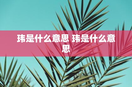 玮是什么意思 玮是什么意思
