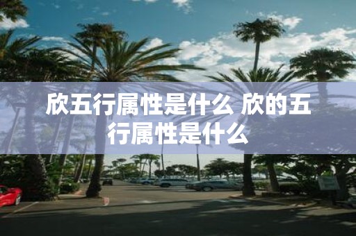 欣五行属性是什么 欣的五行属性是什么