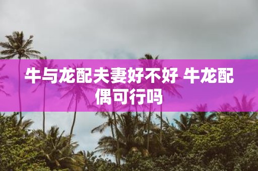 牛与龙配夫妻好不好 牛龙配偶可行吗