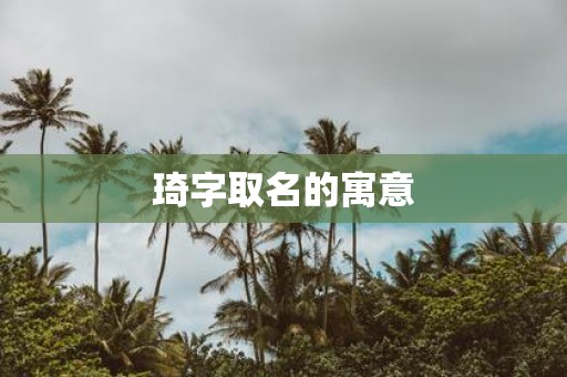 琦字取名的寓意