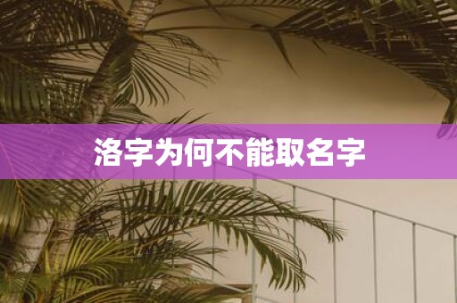 洛字为何不能取名字