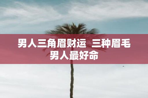 男人三角眉财运 三种眉毛男人最好命