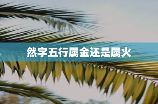 然字五行属金还是属火