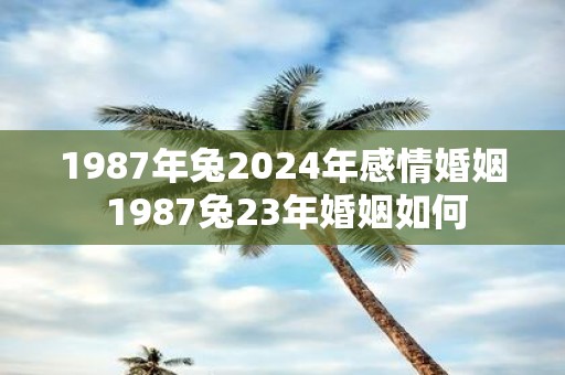 1987年兔2025年感情婚姻 1987兔23年婚姻如何