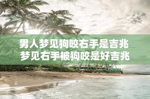 男人梦见狗咬右手是吉兆 梦见右手被狗咬是好吉兆
